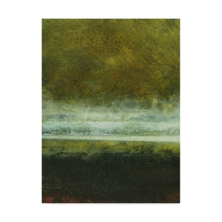 Trademark Fine Art Sharon Gordon 'Paths Iii' Canvas Art, 24x32 WAG02387-C2432GG